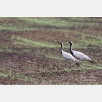 4637 x 3091_Px _RM_170607_MG_8023.jpg