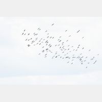 4743 x 3162_Px _RM_170606_MG_6148.jpg