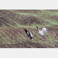 4824 x 3216_Px _RM_170607_MG_8055.jpg