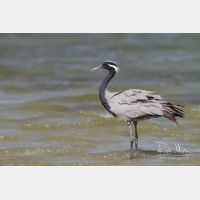 5016 x 3344_Px _RM_130205_MG_0892.jpg