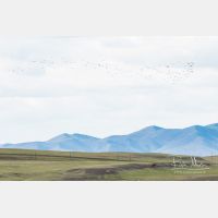 5089 x 3393_Px _RM_170606_MG_6153.jpg