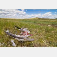 5184 x 3456_Px _RM_170606_MG_6313.jpg