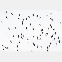 5306 x 3537_Px _RM_170606_MG_6124.jpg