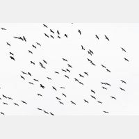 5357 x 3571_Px _RM_170606_MG_6118.jpg