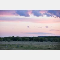 6334 x 4223 Px   _RM_190606_D4_9475.jpg