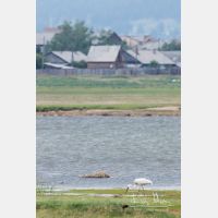 3296 x 4945_Px _RM_170604_MG_2591.jpg