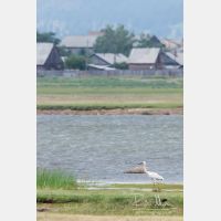 3533 x 5300_Px _RM_170604_MG_2596.jpg