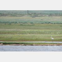 4240 x 2827_Px _RM_170604_MG_2557.jpg