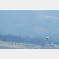 4420 x 2947_Px _RM_170604_MG_2606.jpg