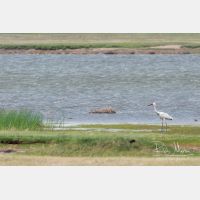 4751 x 3167_Px _RM_170604_MG_2580.jpg