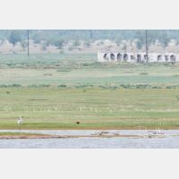 4911 x 3274_Px _RM_170604_MG_2572.jpg