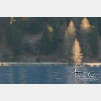 4235 x 2823_Px _RM_151222_MG_9267.jpg