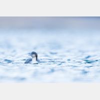 4336 x 2890_Px _RM_151223_MG_9429.jpg