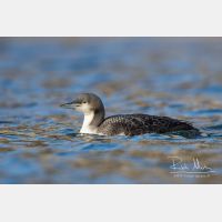 5029 x 3352_Px _RM_151223_MG_9968.jpg