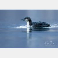 5063 x 3375_Px _RM_151223_MG_0729.jpg