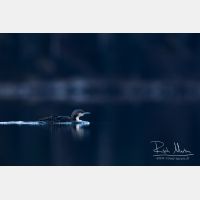 5293 x 3529_Px _RM_151223_MG_9328.jpg