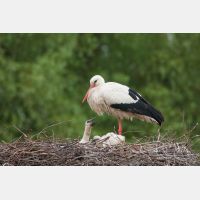 3340 x 2227_Px _RM_100513_MG_1709.jpg