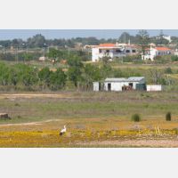 3504 x 2336_Px _RM_090328_MG_7761.jpg