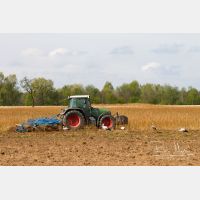 4944 x 3296_Px _RM_120425_MG_3122.jpg