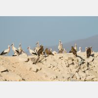 5027 x 3351_Px _RM_130209_MG_4329.jpg