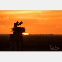 5472 x 3648 Px   _RM_190127_Q4A9435.jpg