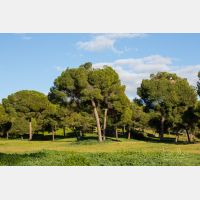 5760 x 3840 Px   _RM_190127_13A8431.jpg