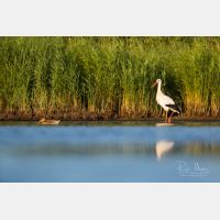 5760 x 3840 Px   __D3_6506.jpg