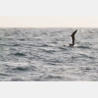 3819 x 2546_Px _RM_141109_MG_1000.jpg