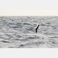 4215 x 2810_Px _RM_141109_MG_1001.jpg