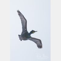 2304 x 3456_Px _RM_140325_MG_1786.jpg