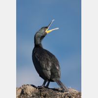 2423 x 3634_Px _RM_110321_MG_0209.jpg