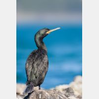 2461 x 3691_Px _RM_110321_MG_9952_b.jpg