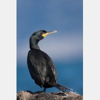 2592 x 3888_Px _RM_110321_MG_0251.jpg