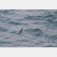 2880 x 1920_Px _RM_090328_MG_7525.jpg