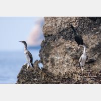 2981 x 1987_Px _RM_110326_MG_5460.jpg