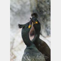 3099 x 4649_Px _RM_140327_MG_0760.jpg