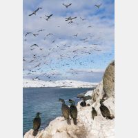 3106 x 4658_Px _RM_140327_MG_7399.jpg