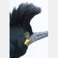 3117 x 4676_Px _RM_140327_MG_7271.jpg