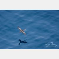 3264 x 2176_Px _RM_110326_MG_5300.jpg