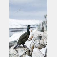 3335 x 5002_Px _RM_140327_MG_0743.jpg