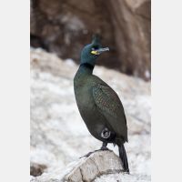 3456 x 5184_Px _RM_140326TTLL6709.jpg