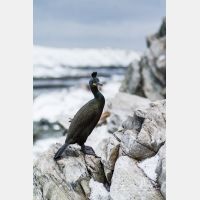 3456 x 5184_Px _RM_140327_MG_0734.jpg