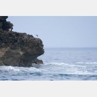 3486 x 2324_Px _RM_110326_MG_5348.jpg