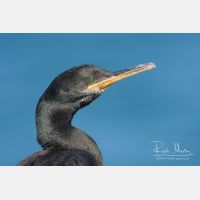 3888 x 2592_Px _RM_110321_MG_0021.jpg