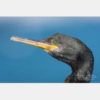 3888 x 2592_Px _RM_110321_MG_0075.jpg