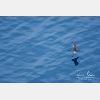 3888 x 2592_Px _RM_110326_MG_5328.jpg