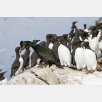 4603 x 3068_Px _RM_140327_MG_7777.jpg