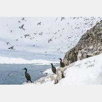 4611 x 3074_Px _RM_140326_MG_0274.jpg