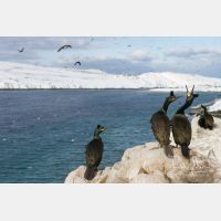 4670 x 3113_Px _RM_140327_MG_7393.jpg