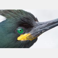 4676 x 3117_Px _RM_140327_MG_7083.jpg